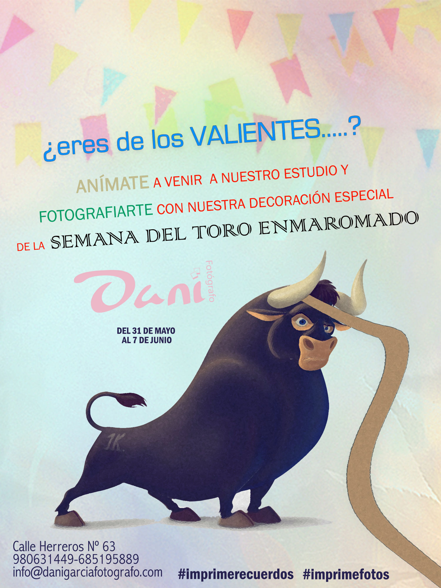 Dani García Fotógrafo - cartel-de-toro-01.jpg